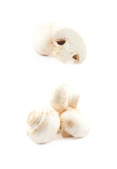 Raw champignon composition