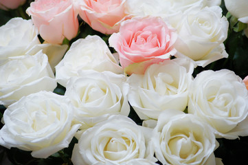 Stylish photo of light pink and white roses background, beautiful flowers bouquet.