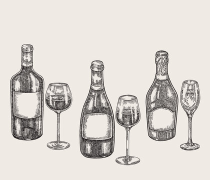 Hand drawn wine bottles and glasses in sketch style. Vector illustration vintage.
