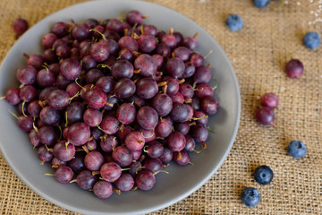 Fresh gooseberry on a plate. It can be used as a background