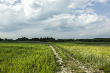 Fototapeta na wymiar Rural sandy road through green fields and a cloudy sky