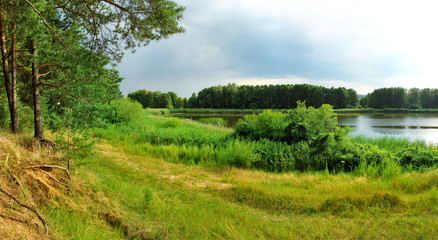 Panoramic image of a forest lake in summer.