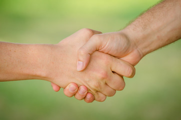 Freunde geben sich die Hand. Nahaufnahme der Hände vor grünem Hintergrund in der Natur.
