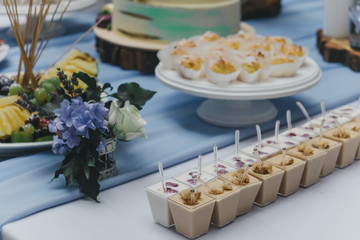 Two kinds of mousse desserts in small portions
