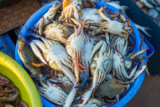 Sale of crabs in the markets of India