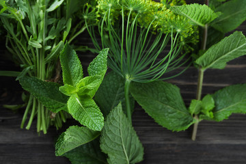 Different fresh herbs on wooden background