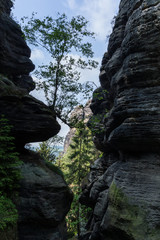 Felsformation in der Sächsischen Schweiz