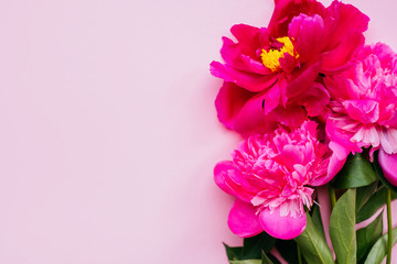 Beautiful magenta peony flower bouquet on the pink background. Closeup, flatlay style.