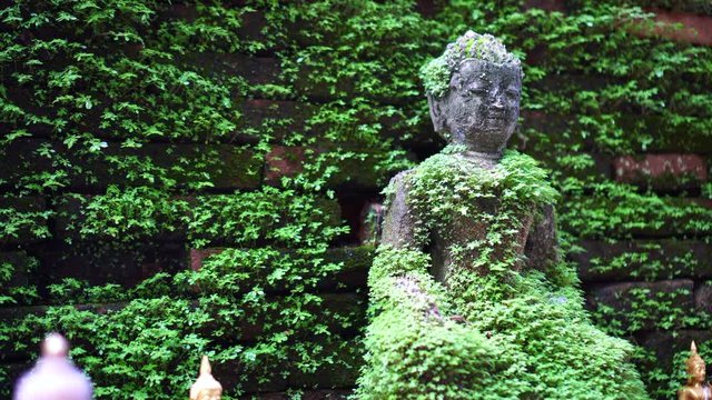 Moss cover buddha statue, calm peaceful religious concept