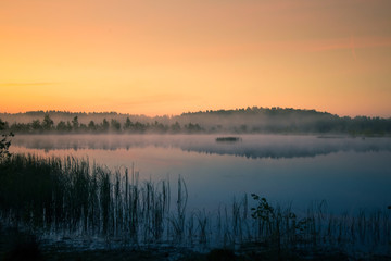 Fototapeta na wymiar A beautiful, colorful landscape of a misty swamp during the sunrise. Atmospheric, tranquil wetland scenery with sun in Latvia, Northern Europe.