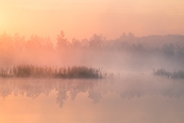 Obraz na płótnie Canvas A beautiful, colorful landscape of a misty swamp during the sunrise. Atmospheric, tranquil wetland scenery with sun in Latvia, Northern Europe.