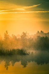 Obraz premium A beautiful, colorful landscape of a misty swamp during the sunrise. Atmospheric, tranquil wetland scenery with sun in Latvia, Northern Europe.