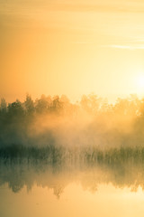 A beautiful, colorful landscape of a misty swamp during the sunrise. Atmospheric, tranquil wetland scenery with sun in Latvia, Northern Europe.