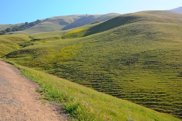 Obraz premium Landscape of Misson Peak in Spring in California, United States