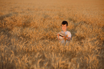 The beautiful boy on the summer solar field of gold wheat