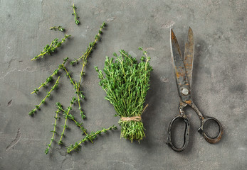 Fresh thyme with scissors on grey background