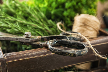 Scissors with fresh herbs on wooden crate, closeup