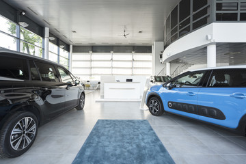 Modern elegant car showroom interior with two blue and black cars, soft rug and big windows - obrazy, fototapety, plakaty
