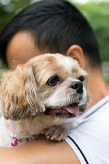 Asian young man with his pet Shih Tzu puppy dog outdoor