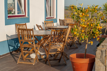 Terrace of house, lemon tree, Portugal