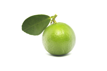 Green lime isolated on white background.