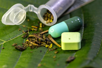 Science Research leaves of Mitragyna speciosa (kratom), Science Research drug plant with pills...