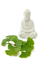 Buddha with ginkgo