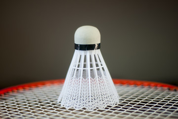 Badminton racket and shuttlecock