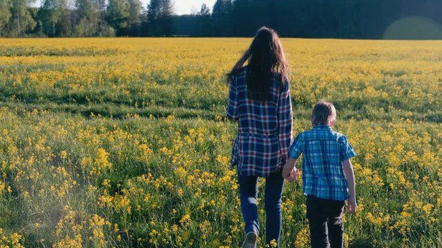 Mom and son walk on the field of yellow flowers. Back view.