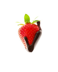 Delicious strawberry with melted chocolate on white background