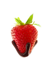 Delicious strawberry with melted chocolate on white background