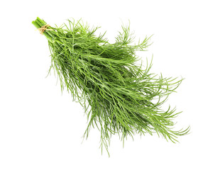 Fresh dill on white background