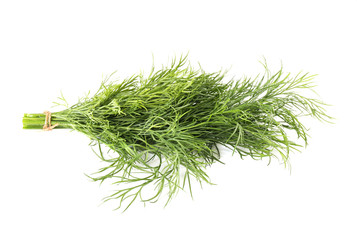 Fresh dill on white background