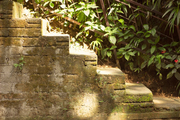 Some stone mossy stairs going up