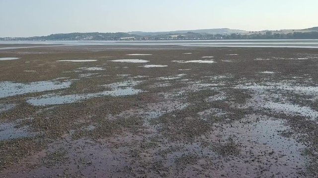 Smooth aerial tilt up of River Exe, Lympstone.