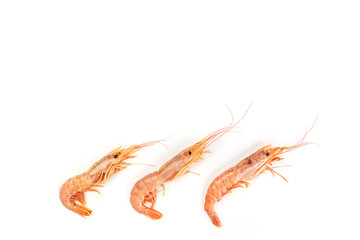 Overhead photo of three raw shrimps on white, with a place for text