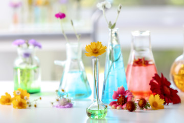 Flask with plant on table in laboratory