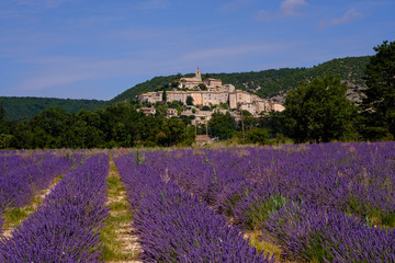 Vue panoramique sur le village de Banon, Alpes de Haute Provence, France. Champ de lavande au premier plan.