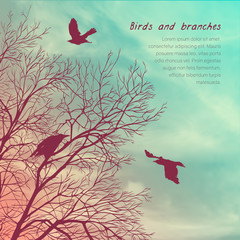 Square banner with crows and tree branches. Template for postcard, poster or advertisement