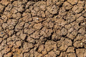 Dry and cracked  soil after a period of drought