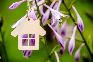 The symbol of the house is hanging among the flowering Hosts.