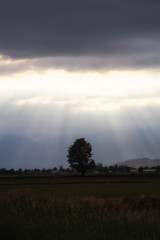 Striking view of the country side during a dramatic sunset. Taken in Chilliwack, East of Vancouver, BC, Canada.
