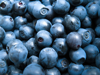 A scattering of beautiful ripe blueberries, fresh, freshly harvested. Close-up photo
