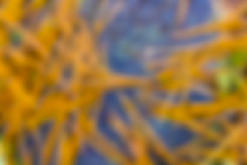 Vague autumn background Orange and grey blue. Blurred background in autumn colors. Place for text