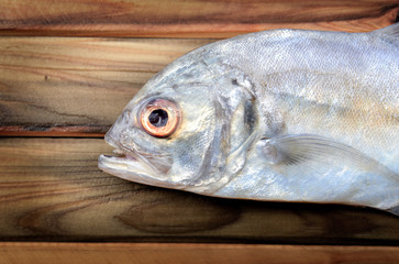 Fresh bigeye trevally fish.
