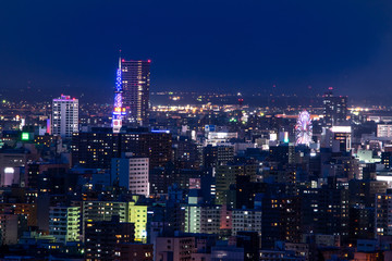 Fototapeta na wymiar 札幌夜景　幌見峠からの眺め
