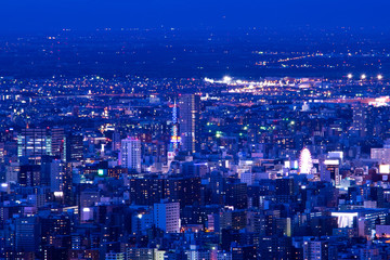 Obraz premium 札幌夜景 幌見峠からの眺め