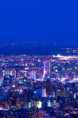 Obraz premium 札幌夜景 幌見峠からの眺め