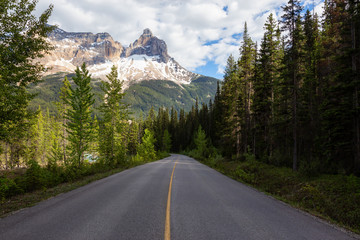 Naklejka premium Scenic road in the Canadian Rockies during a vibrant sunny summer day. Taken in Yoho National Park, British Columbia, Canada.