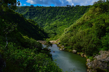 Fototapeta na wymiar Landschaftsweite Mauritius Dschungel